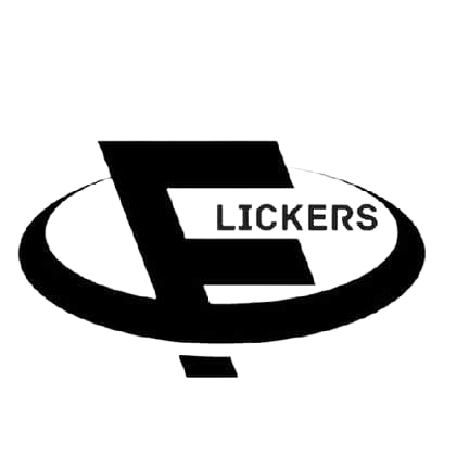 Team Flickers 254 logo